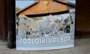 Zoološki vrt Bor foto:yt:zoran jovanović