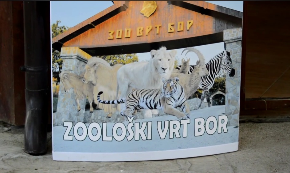 Zoološki vrt Bor foto:yt:zoran jovanović