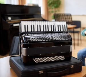 Foto: Ilustracija/harmonika