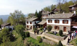 Foto: Ilustracija/selo