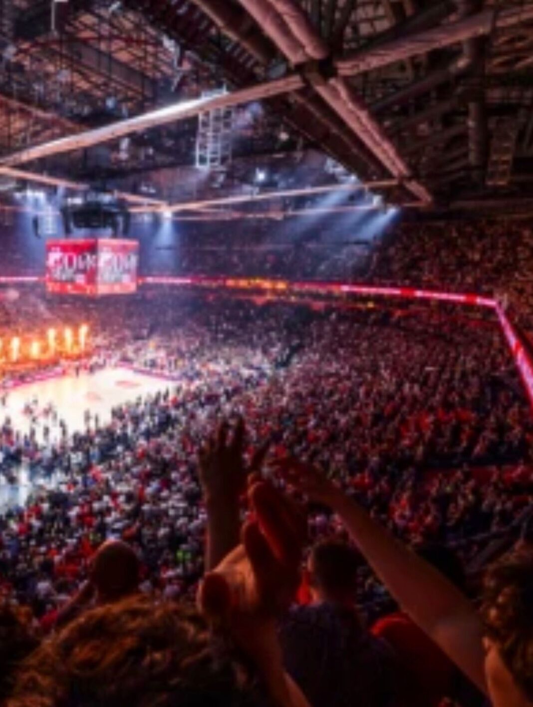 Tv Arena sport foto:printscreen